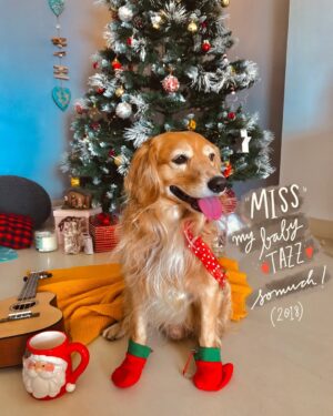 Larissa Dsa Instagram - Some beautiful Christmas moments through the years 🥹

Compliments of the season everyone ♥️

May you all feel the joy of Christmas throughout the year, and blessings of the almighty to you and your family.

-Love & Laughter,
Larissa 😘

Edited on @lightroom 
Handwritten & graphics on @procreate