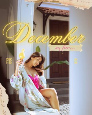 Larissa Dsa Instagram - My lovely little December 🌸

This month has been MAD MAD, but can’t wait for January to come in. I have some solid resolutions to make this year. 🥳😎

Also, went a little overboard with decorating my carousel this time like my physical journal, so please tell me you like it cuz im not convinced 😛🎨 

#December