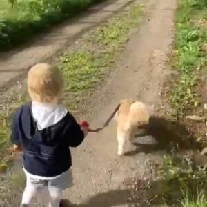 Laura Kenny Instagram - Rupert 🐶💔

We always knew this day would come but it doesn’t make it any easier. 16 years and 10 months of loving you. Half my life. The day I risked my parents marriage to make you ours was the best risk I ever took 💙 From begging my mum to take me to visit these pups, to then telling @emmavictrott she had to tell Dad that I had bought a dog for Father’s day 😂 I’m not sure at what point I got forgiven but Roo then became a family member. He travelled everywhere with us. I feel like he has been there through every big life event of mine. Every bike race, marrying Jason, our two boys, the list goes on. Never did I think at 16 years old when we got him that he would meet any children of mine 💖

You were the most wonderfully handsome, yappy, loyal, train chasing, hand biting, escape artist. Our one and only ‘Trott’ family dog. You were literally everything and more we could have hoped for in a dog. Mum, Dad, Emma and myself will miss you so much little man. Goodnight and sweet dreams Rupert. You will always have a piece of my heart ❤️ 

🎶 There is one more angel in heaven, one more star in the sky 🎶