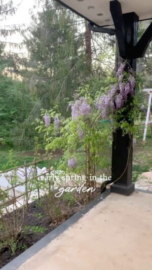 Lauren Liess Instagram - We get asked a lot about our kitchen gardens / the structure etc so I wanted to share a video of our old garden in early spring (when the spring peepers were out!) I like to build raised beds with 5-6” ledges on top so we can sit on them for weeding/ hanging. The deer did NOT ever go up into this garden which was on a terrace with very low walls and filled with pea gravel. Don’t know if it was the stucco walls or the couple of steps up/ down needed to get in but they just didn’t enter. I also love a dining table or seating area in the garden because when I’ve done all that work to make a garden want to be able to sit, hang, eat and entertain in it. A central table also gets lots of use for picking in large quantities and having somewhere to set it all. 🌿 We also had wisteria growing up the back terrace and I never had any regrets about- it never hurt the house and I loved having something to cut back and I loved the romantic unbridled feel it gave to the place. 🌿 And finally, we have seedlings going in our cold frames right now and I am beyond excited!! happy planting!!