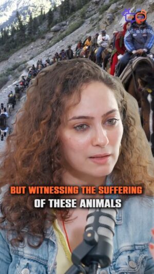Lavina Tandon Instagram - Kedarnath is a place of peace, but the suffering of mules tells a different story. 
In our recent Talky Tails episode, @lavinatandon05 urges pilgrims to rethink their choices and avoid unnecessary cruelty. 

This Maha Shivratri, let’s honor Lord Shiva by choosing kindness. Ethical tourism is the way forward 🌿🔱

Tag someone who needs to hear this! 👇

#mahashivratri #kedarnath #AnimalWelfare #AnimalCompassion #saynotoanimalcruelty #animalcare #podcastshow #rachellambrose #talkytails