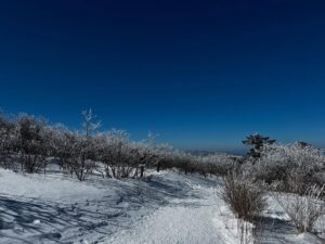 Lee Min-ji Instagram - #태백산 ❄️🏔️ 좋았다 !!!