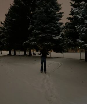 Lorena Lalina Schuett Instagram - Midnight stroll under a blanket of snow 🥹🌨️