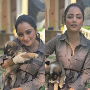 Madirakshi Mundle Instagram - When work meets play! 
Snuggle breaks are the best! Met these cuddly puppies on set and fell in love ❤️ 
Our shoot just got a whole lot cuter with these adorable puppies on set 
#aksabeach

#dogcuddles #puppylove #shootingdiaries
#puppylove #DogLovers #shootinglife 

@aarambh.entertainment