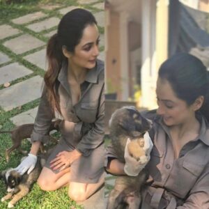 Madirakshi Mundle Instagram - When work meets play! 
Snuggle breaks are the best! Met these cuddly puppies on set and fell in love ❤️ 
Our shoot just got a whole lot cuter with these adorable puppies on set 
#aksabeach

#dogcuddles #puppylove #shootingdiaries
#puppylove #DogLovers #shootinglife 

@aarambh.entertainment