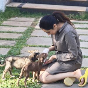 Madirakshi Mundle Instagram - When work meets play! 
Snuggle breaks are the best! Met these cuddly puppies on set and fell in love ❤️ 
Our shoot just got a whole lot cuter with these adorable puppies on set 
#aksabeach

#dogcuddles #puppylove #shootingdiaries
#puppylove #DogLovers #shootinglife 

@aarambh.entertainment