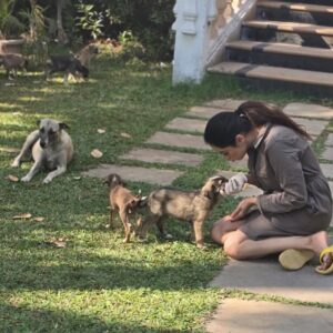 Madirakshi Mundle Instagram - When work meets play! 
Snuggle breaks are the best! Met these cuddly puppies on set and fell in love ❤️ 
Our shoot just got a whole lot cuter with these adorable puppies on set 
#aksabeach

#dogcuddles #puppylove #shootingdiaries
#puppylove #DogLovers #shootinglife 

@aarambh.entertainment