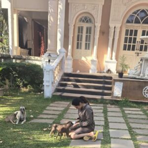 Madirakshi Mundle Instagram - When work meets play! 
Snuggle breaks are the best! Met these cuddly puppies on set and fell in love ❤️ 
Our shoot just got a whole lot cuter with these adorable puppies on set 
#aksabeach

#dogcuddles #puppylove #shootingdiaries
#puppylove #DogLovers #shootinglife 

@aarambh.entertainment