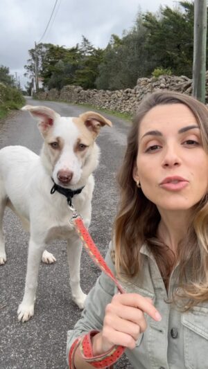 Mafalda Rodiles Instagram - ADOTADA 🩷 Olhem só a lindeza que trago hoje!!! É a CLARINHA e tenho a certeza que rapidamente se vai juntar à lista de cães adotados na @uppa_animais porque ela é mesmo especial e rara! 
Primeiro é linda e tem uns olhos verdes que prometem derreter corações, depois é super doce e brincalhona e adora humanos e outros cães! E depois tem apenas 6 mesinhos, já não vai crescer muito mais, é de porte médio (arraçada de Border Collie), e está louca para encontrar um verdadeiro lar! 
Sortudas serão as pessoas que a adotarem porque ela é mesmo especial!! 
Queres conhecê-la? Marcar uma visita? 

Envia-me msg privada! E se não puderes, pelo menos partilha para chegarmos à família certa 🩷

#naocompreadote