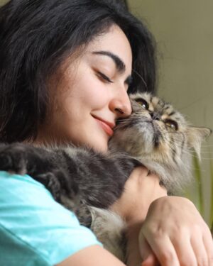Maha Hasan Instagram - Meow and furever ♥️
.
.
.
.
.
.
.
.
.
.
#cats #catlove #lovethem #animallove #cathugs #mahahasan #ishqiya #arydigital #arydramas #bigbangentertainment #pakistani #actor #lifeofanactor #pakistaniactor #pakistanimedia #pakistaniactors #pakistanidramas #pakistanientertainmentindustry #pakdrama #madeinpakistan #instagram #lollywood #pakistan #karachi #pakistanidramaindustry #instadaily #instagood #smile