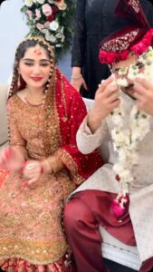 Actress Maham Amir HD Photos and Wallpapers January 2025