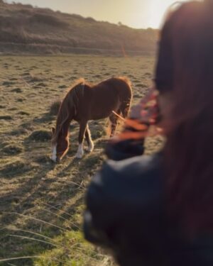 Malavika Sreenath Instagram - Everything that kills me makes me feel alive! 🐎

📸 @the_murfy 🧲