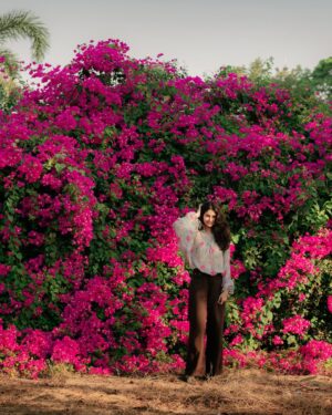 Manasa Varanasi Instagram - ‘‘Tis the season 

#bougainvillea #bloom 

@saravanan_dop
