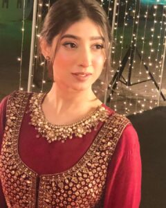 Actress Mariyam Nafees HD Photos and Wallpapers October 2024