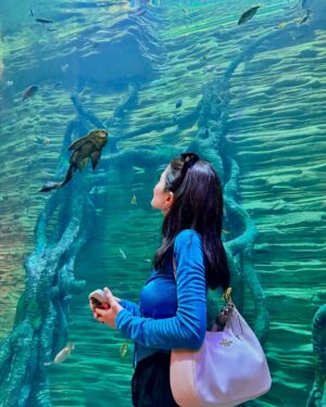 Meerub Ali Instagram - Stepping into the future and beyond in Dubai! 🚀 Exploring the Museum of the Future, immersing in the surreal beauty of AYA Universe, and experiencing a slice of the rainforest, home to fascinating inhabitants at The Green Planet. This city is a dreamscape! 🌌🌿

#DubaiWonders #MuseumOfTheFuture #AYAUniverse #TheGreenPlanet #visitdubai