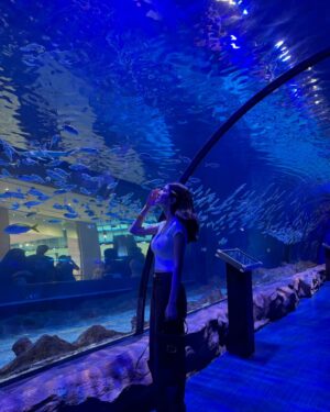 Meerub Ali Instagram - Exploring the best of Dubai! 🕌 From savoring global flavours at Time Out Market, hitting the slopes at Ski Dubai, to diving into the underwater wonders at Dubai Aquarium—this city never ceases to amaze! 🌟 
#DubaiAdventures #TravelDiaries #TimeoutMarket #SkiDubai #DubaiAquarium #visitdubai