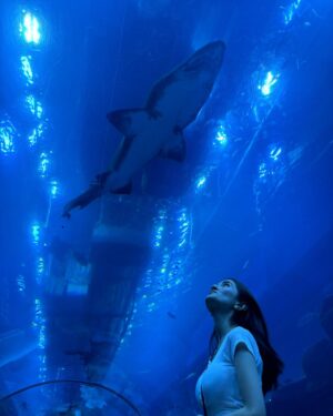 Meerub Ali Instagram - Exploring the best of Dubai! 🕌 From savoring global flavours at Time Out Market, hitting the slopes at Ski Dubai, to diving into the underwater wonders at Dubai Aquarium—this city never ceases to amaze! 🌟 
#DubaiAdventures #TravelDiaries #TimeoutMarket #SkiDubai #DubaiAquarium #visitdubai