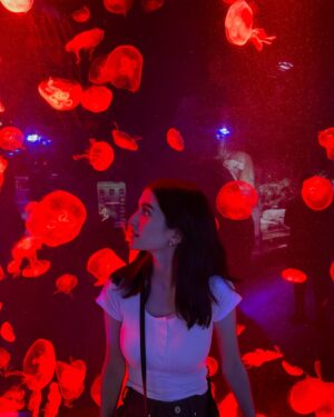 Meerub Ali Instagram - Exploring the best of Dubai! 🕌 From savoring global flavours at Time Out Market, hitting the slopes at Ski Dubai, to diving into the underwater wonders at Dubai Aquarium—this city never ceases to amaze! 🌟 
#DubaiAdventures #TravelDiaries #TimeoutMarket #SkiDubai #DubaiAquarium #visitdubai