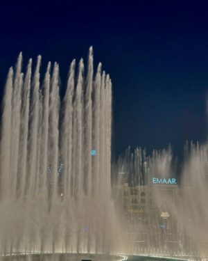Meerub Ali Instagram - Exploring the best of Dubai! 🕌 From savoring global flavours at Time Out Market, hitting the slopes at Ski Dubai, to diving into the underwater wonders at Dubai Aquarium—this city never ceases to amaze! 🌟 
#DubaiAdventures #TravelDiaries #TimeoutMarket #SkiDubai #DubaiAquarium #visitdubai