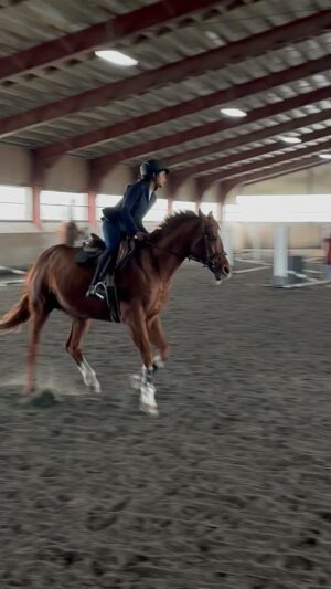 Meesha Shafi Instagram - Horsepower 
🐎 💫✨

Advanced novice division 🏅 🏅🏅

#equestrian #mygirl