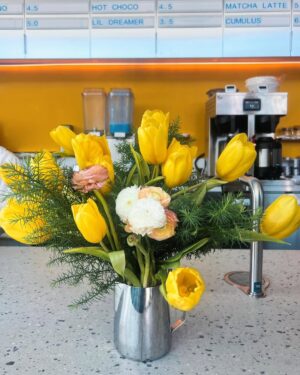 Melissa Ordway Instagram - A weekend in Charlotte, NC photo recap…

A few of our favorites were @supper.land @flykidfly @thebowlnc @ever_andalo ☕️🍴🤍