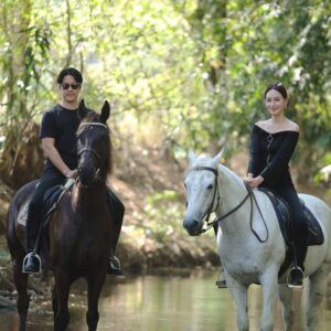 Namthip Jongrachatawiboon Instagram - 🐴🐴