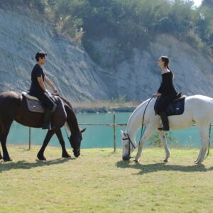Namthip Jongrachatawiboon Instagram - 🐴🐴