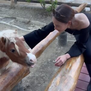 Namthip Jongrachatawiboon Instagram - 🐴🐴