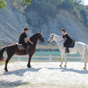 Namthip Jongrachatawiboon Instagram - 🐴🐴