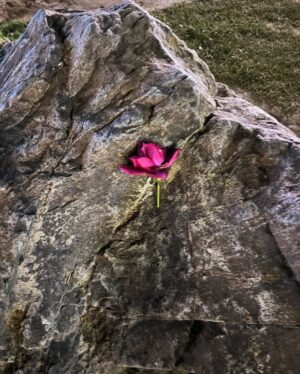 Nazish Jahangir Instagram - Tu hai tou……! 🌹

@handmadecouturepk ❤️

#nazishjahangir #nature #days #hunza #travelgram