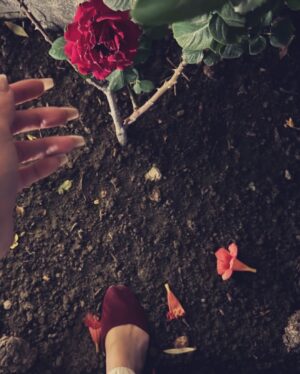 Nazish Jahangir Instagram - Tu hai tou……! 🌹

@handmadecouturepk ❤️

#nazishjahangir #nature #days #hunza #travelgram