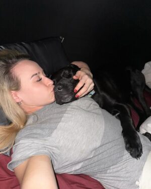 Patricia Parker Instagram - When you can’t possibly fit anymore dogs in your house full time, you do it part time. 

Pluto stayed with us as an overnight foster last night and gets picked up to go to his furever home this morning 🐾 

Pluto is 10 months old, was scheduled for euthanasia due to overcrowding , and saved by a rescue hours from his “kill time”. He’s been traveling all the way from College Station, TX over the past 48 hours to get to his new mom and dad 🚗