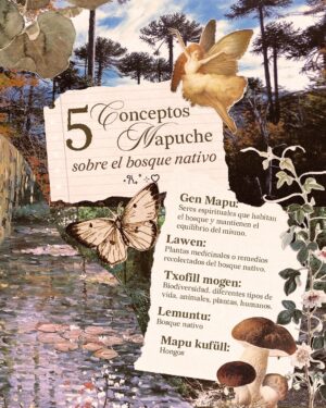 Princesa Alba Instagram - Como si fuese digüeñe ִֶָ𓂃 ࣪ ִֶָ 🍄‍🟫💗 a veces es necesario y bonito dar espacio para enaltecer nuestra fauna, flora y fungi. 

Los invito a reforestar nuestro bosque nativo haciendo tu aporte en @fundacionreforestemos @cultiva_reforestacion 

Mua: Humberto Moya @humbertomoyav 
Hair: Héctor Cornejo @hc.concept 
Nails: Isidora Castillo @palasgatasgarras 
Fotos por: Diego Escalante @diegoescap 
Dirección creativa y diseño: Matías Hernán @matias_hernan

Diseño gráfico Edits Instagram: @renadrago 
Cm: @hotdogmammi 
Textos by @sergiosotomaulen 
Entrevistas by @daniriquelmer_ y yop
Entrevistados : @chef_mapuche @quucho 
Mgmt: @armonicabm & @hey.inaa 

Moldería y desarrollo: Matías PEZOA @m4.t1 
Dirección de confección: Lien González @volcanesdementira 
Confeccionistas:
Fernanda Brücher @frbrucher 
Mayza Sarras @mayzasarras_ 
Valentina Piña @vltinapb 

COLABORADORES
The Glass Lab @theglasslab.cl 
Buló @bulodise 
Futureal Moda Digital @futurealclub 
Creativa Taller @creativa.taller
Zapatos by @stevemaddencl