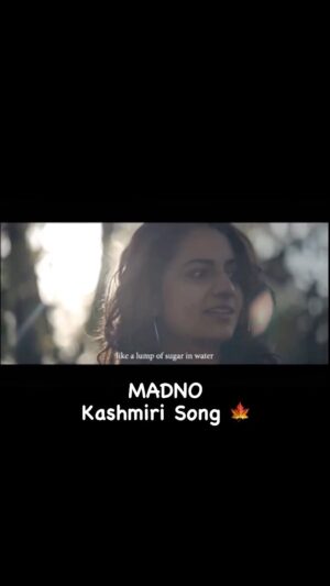 Priya Raina Instagram - So happy & grateful that #MADNO is on #instagrammusic 🎶 
And forever grateful to all the love you guys gave to my first song in the language I belong to #Kashmiri 💕🍁 
Now you can make ur #stories / #Reels using this magical melody and tag me & @audiostars1 
#reelitfeelit #instamusic  #music #kashmiri #musicvideo 
Video Credits: @tassaduqhussain 🎥