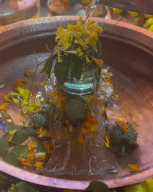 Priya Raina Instagram - Herath Poshte : Happy Mahashivratri to each one of you ☺️🙏🌼🔱

Vatukh Pooza: Two Kalash that symbolise Lord Shiva & Maa Parvati along with Ganpati Bappa, Kartikeya, Bhairavas & Ganas are filled with water and walnuts.
MahaShivratri also called Herath in #kashmiri is the king of our festivals. It is believed that every kashmiri girl is incarnation of Parvati and is married to Shiva (incarnation). On Herath (which symbolises the wedding of ‘Shiv-Shakti’ ) we also celebrate all the weddings and pray for divine blessings to stay protected till eternity.

Thank you @urzuv_kashmir @vatsalahali for sending this beautiful #kashmiripheran 🌸
& i absolutely adore this beautiful piece of #Dejhor you have sent me @ratika.kaul 💛

#kashmiripandits #HappyMahaShivratri #herathmubarak #vatukh