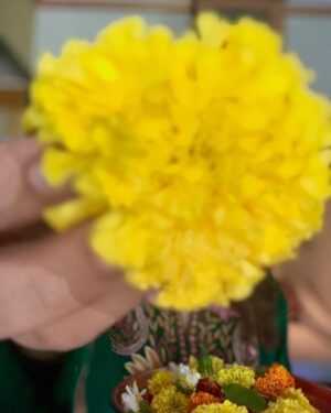 Priya Raina Instagram - Herath Poshte : Happy Mahashivratri to each one of you ☺️🙏🌼🔱

Vatukh Pooza: Two Kalash that symbolise Lord Shiva & Maa Parvati along with Ganpati Bappa, Kartikeya, Bhairavas & Ganas are filled with water and walnuts.
MahaShivratri also called Herath in #kashmiri is the king of our festivals. It is believed that every kashmiri girl is incarnation of Parvati and is married to Shiva (incarnation). On Herath (which symbolises the wedding of ‘Shiv-Shakti’ ) we also celebrate all the weddings and pray for divine blessings to stay protected till eternity.

Thank you @urzuv_kashmir @vatsalahali for sending this beautiful #kashmiripheran 🌸
& i absolutely adore this beautiful piece of #Dejhor you have sent me @ratika.kaul 💛

#kashmiripandits #HappyMahaShivratri #herathmubarak #vatukh
