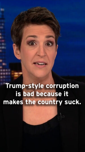 Rachel Maddow Instagram - Why Trump-style corruption is bad and makes governments suck - 
Rachel Maddow explains why Donald Trump's family favors, grift, conflicts of interest, and uninhibited mix of money and politics are more than just inappropriate or in violation of some esoteric ethics code, but actually have real-world consequences for how government functions (or doesn't). 

Watch Rachel Maddow Show clips on YouTube at MSNBC.com/Rachel