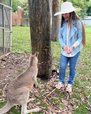 Reema Khan Instagram - In the heart of the Australian wild, where the sun kisses the earth, the kangaroo dances with grace—a symbol of boundless love in nature’s embrace. 
#austraila 
#sydney 
kangaroo 
#greatexperience