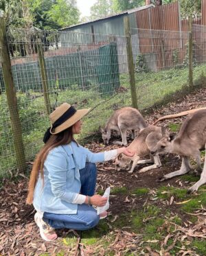Reema Khan Instagram - In the heart of the Australian wild, where the sun kisses the earth, the kangaroo dances with grace—a symbol of boundless love in nature’s embrace. 
#austraila 
#sydney 
kangaroo 
#greatexperience