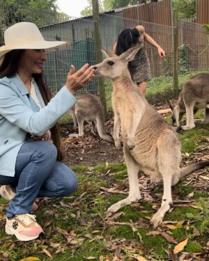 Reema Khan Instagram - In the heart of the Australian wild, where the sun kisses the earth, the kangaroo dances with grace—a symbol of boundless love in nature’s embrace. 
#austraila 
#sydney 
kangaroo 
#greatexperience