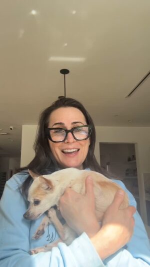 Rena Sofer Instagram - This little grandma was found wandering the streets after the fires in LA last month. Is she your dog?? She had no microchip but she looks like she was loved and cared for. If you know any info on her or are looking for her contact Ed  1 (818) 917-3634 and ask about Ruby. Until then she is safe with me and @sbookstaver for as long as she wants to be on this earth. And if you ever think of fostering consider the older animals. They just want love and warmth and a safe place to rest. #adoptdontshop #foster #fosteringsaveslives #rescue #adoptashelterpet #lostdogs