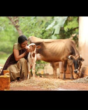 Roopa Koduvayur Instagram - #Bts #yamakaathaghi 
.
.
.

.
..
..
.

.
.

.
.

.

.

.
.
.

.
.
.
.
.
.
.
.
.
.
.
.
.
.

.
.
.
.
.
.
.
.
.
.
.
.

.
..
.
.
.
.
.

#tamil #shooting #stills #sets #nomakeup #nature #potrait #village #filmset #roopakoduvayur