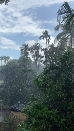 Rudrita Chatterjee Instagram - Monsoon 
#reels #reelsinstagram #reelitfeelit #reelsvideo #reel #reelsindia #reelkarofeelkaro
