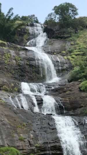 Rudrita Chatterjee Instagram - Somewhere in Kerala 
#reels #reelsinstagram #reelsvideo #reel #reelitfeelit #reelsindia #reelkarofeelkaro #travel #travelblogger