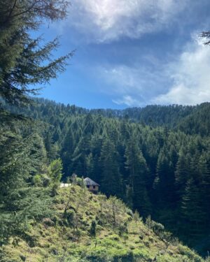 Rudrita Chatterjee Instagram - Open sky, white clouds and green leaves teach me to live. Nothing is more eternal than these. 

~ Rudrita Chatterjee 

#travelblogger #motivation #motivationalquotes #motovationalpost #motivate