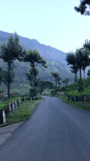 Rudrita Chatterjee Instagram - Kerala has my heart. 
#reels #reelsinstagram #reelsvideo #reelitfeelit #reelsvideo #reelkarofeelkaro #travel #travelblogger