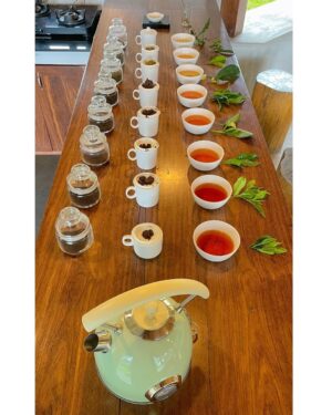 Saanvie Tallwar Instagram - One of my favorite things I did at @windermereretreats was tea tasting. 
In their field, they organically grow high tea and coffee. 

After that, I went for a stroll through their gorgeous property, which is surrounded by tea gardens and a variety of spices. A stroll through a dense woodland. Thank you Ancel for showing me around .

The best location for nature enthusiasts to discover everything there is to offer @windermereretreats

#love 
#peace 
#birthday 
#gemini 
#kerala 
#travel 
#nomakeup 
#blessed 
#windermere 
#keralatourism 
#instagood 
#iloveyouall ❤️

#saanvietallwar