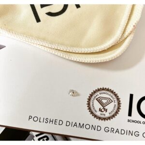 Saanvie Tallwar Instagram - Diamonds Are a Girl's Best Friend,
So is Mine.😍

I have taken my passion ahead by learning about them & proud to be a graduate. 💎