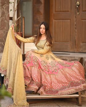 Sabeena Farooq Instagram - Love this traditional @mariabofficial @mariab.couture  look !
#Mariabbrides #Mehndilook
📸📸 @inshalakram_