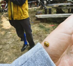 Samantha Hanratty Instagram - Episode 4 BTS of @yellowjackets 
Shout out to our amazing director @jennifermorrison 🙏♥️